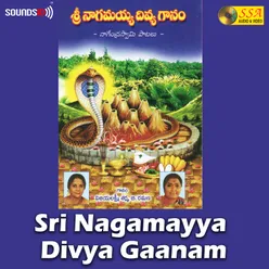 Naagaswaram